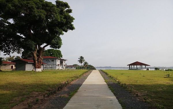 Pathway in LMTI
